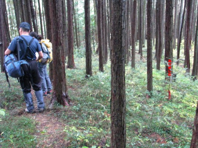 p0025.jpg