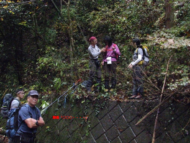 p0028.jpg