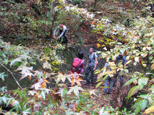 p0032.jpg