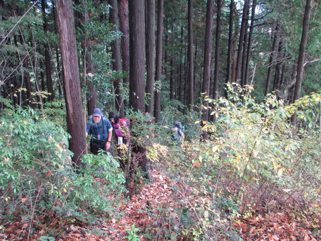 p0040.jpg