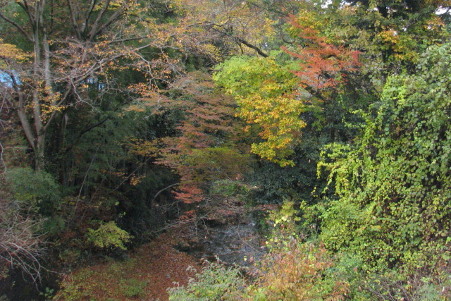 p0050.jpg