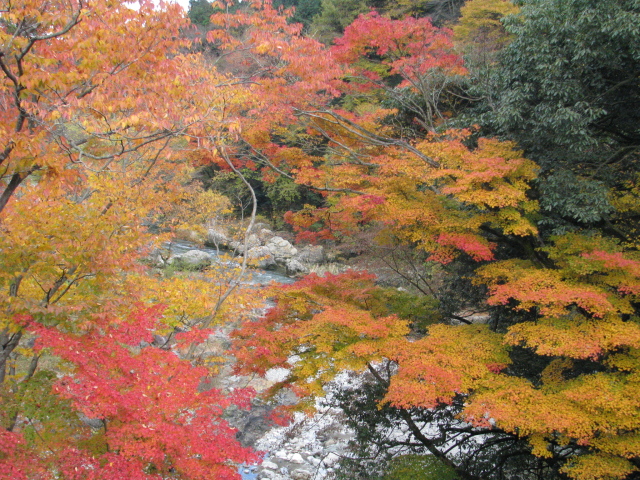 p0055.jpg