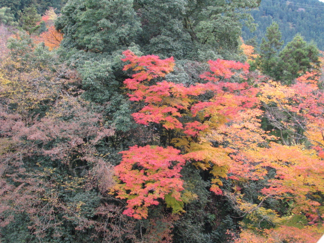 p0057.jpg