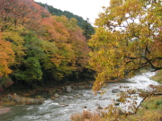 p0007.jpg