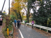 p0009.jpg