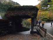 p0015.jpg