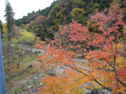 p0016.jpg