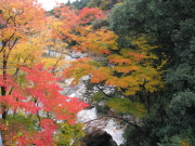 p0017.jpg