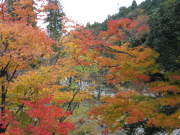 p0018.jpg