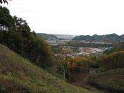 p0022.jpg