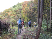 p0024.jpg