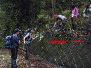 p0027.jpg