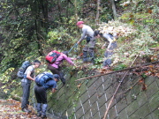 p0029.jpg