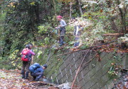 p0030.jpg