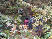 p0032.jpg