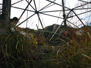 p0035.jpg