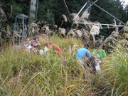 p0036.jpg