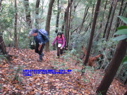 p0039.jpg