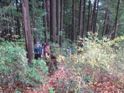 p0040.jpg
