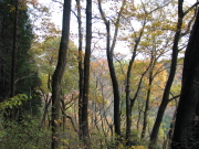 p0041.jpg