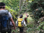 p0044.jpg