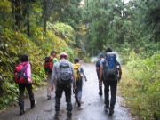 p0049.jpg