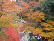 p0055.jpg