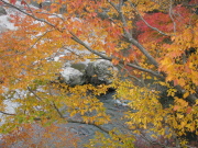 p0056.jpg