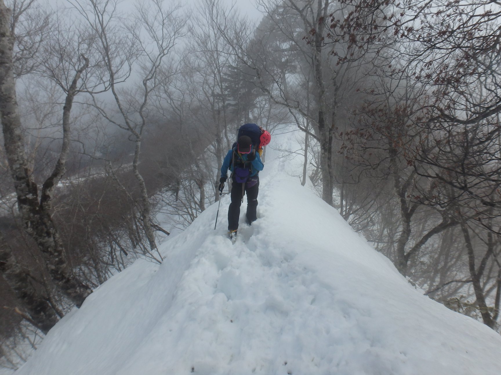 爺ヶ岳東尾根 鹿島槍 積雪期 東京北稜山岳会