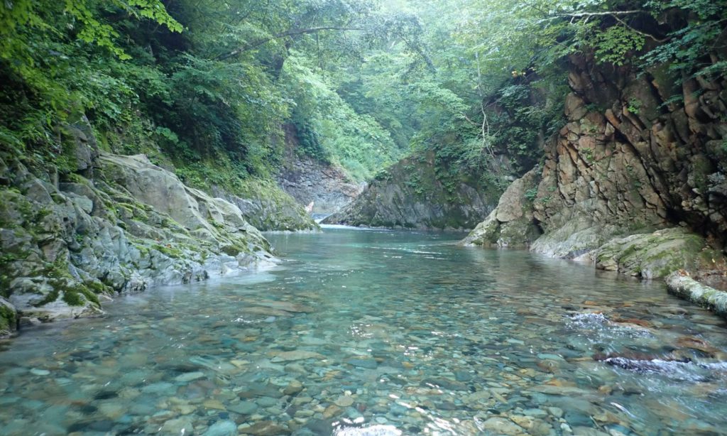 魚野川ｰ小ゼン沢