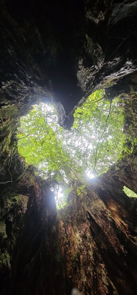 宮之浦岳、黒味岳